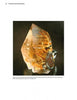 A must-have for any mineral collector, Schiffer Publishing's "Collector's Guide to the Three Phases of Titania" explores titania minerals, including specimens with golden rutile needles, hematite inclusions, and titanium dioxide features.