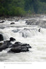Potomac Pathway" by Schiffer Publishing, Ltd. captures a river with roaring waterfalls over dark rocks in the Potomac Valley, as a blue heron soars above white water and green trees frame the Chesapeake & Ohio Canal in the background.