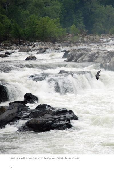 Potomac Pathway" by Schiffer Publishing, Ltd. captures a river with roaring waterfalls over dark rocks in the Potomac Valley, as a blue heron soars above white water and green trees frame the Chesapeake & Ohio Canal in the background.