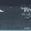 A dark blue night sky with a crescent moon and scattered stars. The text reads: Laurie Cohen, Toni Demuro, The Bird Who Swallowed a Star—a children’s book from Schiffer Publishing, Ltd. Logo appears at the bottom right.