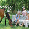 Four women in pastel dresses and hats gather around a white sofa outdoors, inspiring seasonal parties. A brown horse with a floral garland grazes nearby. "Four Seasons of Entertaining" by Schiffer Publishing, Ltd. sets the scene.