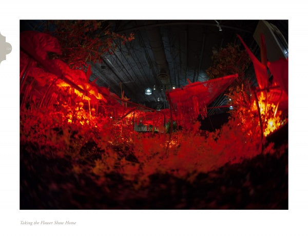 The vivid red glow and striking floral design in this surreal indoor scene evoke "Taking the Flower Show Home" by Schiffer Publishing, Ltd., as plants and flowers shine dramatically under industrial pipes reminiscent of a modern flower exhibition.