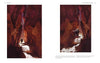 Two hikers trek through a sunlit red rock canyon, shadows cast on the path—an iconic scene from "In the Chasms of Water, Stone, and Light" by Schiffer Publishing, Ltd., capturing the dramatic beauty of the American Southwest.