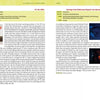 A two-page spread in Schiffer Publishing, Ltd.'s The Ultimate Guide to Strange Cinema reviews Canadian horror films The Pit (1980) and Revenge of the Radioactive Reporter (1990), with cast details, synopses, stills, and a bold yellow-green theme.