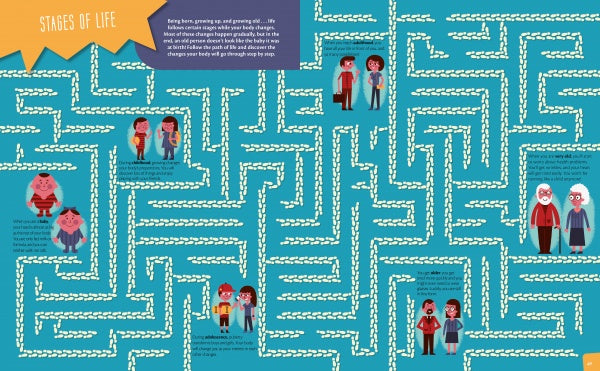 Illustration from Schiffer Publishing, Ltd.'s "The Human Body" features cartoon characters at various ages, linked by white maze-like paths on blue, with brief descriptions for each life stage.