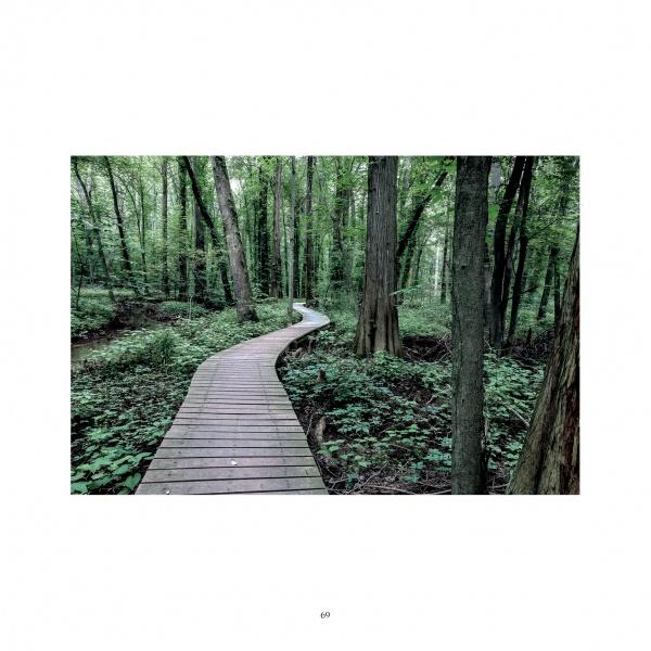 Maryland Landscapes by Schiffer Publishing, Ltd. captures tranquil scenes of wooden boardwalks winding through lush forests—perfect for Maryland photography enthusiasts seeking inspiring natural beauty.