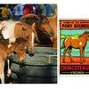 Several brown and white Chincoteague ponies gather at a water trough next to a vibrant poster for the Annual Pony Roundup on Chincoteague Island, from Schiffer Publishing, Ltd., evoking vintage beachside postcard scenes.
