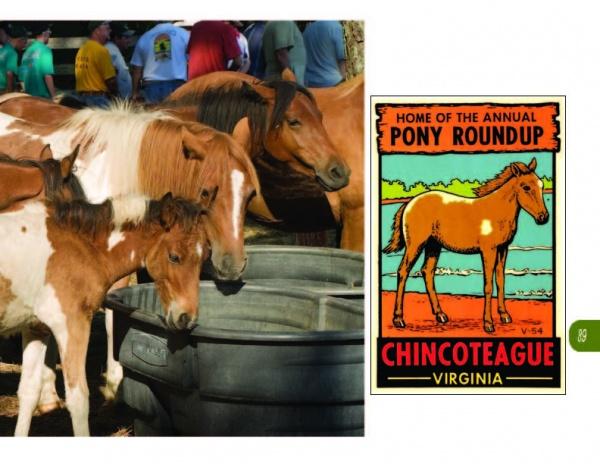 Several brown and white Chincoteague ponies gather at a water trough next to a vibrant poster for the Annual Pony Roundup on Chincoteague Island, from Schiffer Publishing, Ltd., evoking vintage beachside postcard scenes.