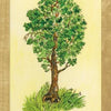 Vintage postcard-style illustration from the Tree of Life Oracle by Schiffer Publishing, Ltd., featuring a leafy green tree in grass on a cream background, with "SUMMER" in a red box. Evokes themes of self-awareness.