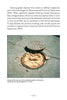 A manhole cover is pushed aside, exposing thick grease deposits nearly spilling onto the pavement—an overlooked resource discussed in Schiffer Publishing, Ltd.'s "Exploring Sustainable Biodiesel" for small-scale biodiesel production.