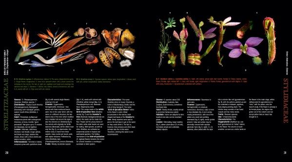 In the Atlas of Flowering Plants by Schiffer Publishing, Ltd., a two-page spread displays vibrant tropical plant parts—flowers, fruits, seeds—artfully arranged on black with captions in white and green fonts describing their anatomy.