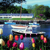 Colorful tulips frame a classic New England scene with boats on calm water and buildings along the shore beneath a clear sky. "New England" by Schiffer Publishing, Ltd. beautifully captures this timeless landscape.