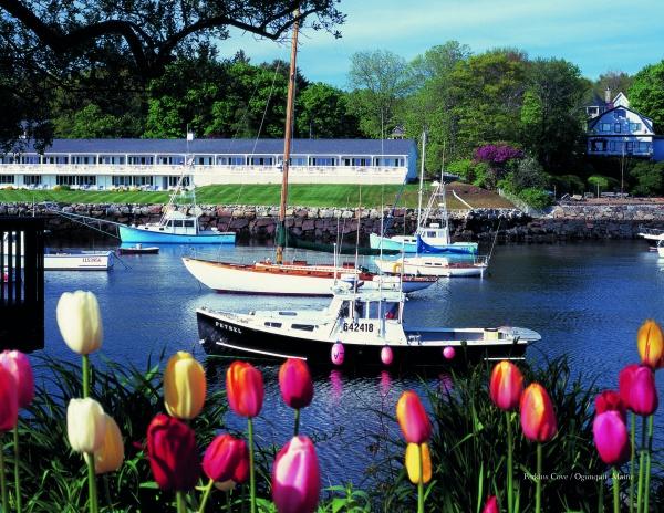 Colorful tulips frame a classic New England scene with boats on calm water and buildings along the shore beneath a clear sky. "New England" by Schiffer Publishing, Ltd. beautifully captures this timeless landscape.