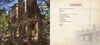 Ruins of old stone walls among trees appear on the left; on the right, the table of contents for Ghost Towns of New Jersey by Schiffer Publishing, Ltd. is listed on a cream background with a faint stone building image and touring info.