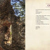 Ruins of old stone walls among trees appear on the left; on the right, the table of contents for Ghost Towns of New Jersey by Schiffer Publishing, Ltd. is listed on a cream background with a faint stone building image and touring info.