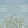 A watercolor scene of underwater plants frames a light blue center, with white poetic text on both sides, capturing the magic of "The Lobsters' Night Before Christmas" from Schiffer Publishing, Ltd.