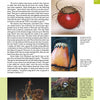 Page from "New and Different Materials for Weaving and Coiling" by Schiffer Publishing, Ltd. features text on unicorn plant, photos of gourd art with wire/bead details, close-ups of techniques, and devil's claw seedpods.