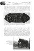 A black-and-white page from "Strange Pennsylvania Monsters" by Schiffer Publishing, Ltd. features an engraved stone with animal figures and a mammoth skeleton photo, plus text about mammoth art and cryptozoology.