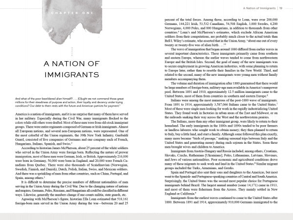A book spread from "Forgotten Soldiers of World War I" by Schiffer Publishing, Ltd. features the chapter title "A Nation of Immigrants," with a large gray abstract shape at top left and text about America’s foreign-born World War I soldiers.
