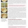 A page from "Beer Brewing for Everyone" by Schiffer Publishing, Ltd. features four photos of beer in a fermenter at different homebrewing stages, with captions and pink-highlighted text about fermenting with top-fermenting yeast.