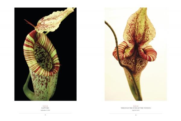 Two pages from "The Sinister Beauty of Carnivorous Plants" (Schiffer Publishing, Ltd.) display striking botanical photos of carnivorous plants with striped, flared rims and spots, labeled by species and plate, on black and white backgrounds.