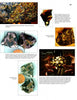 A Schiffer Publishing Meteorites collage features close-ups and slices of pallasite meteorites like Esquel, Brenham, and Fukang, showcasing yellow-green crystals, metallic fragments, descriptive text, and a coin for scale—a stunning collector’s guide.