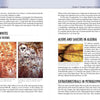Aliens Among Us by Schiffer Publishing, Ltd. features a spread on ancient aliens: the left page shows cave paintings of round-headed figures called LITTLE WHITES, while the right connects them to Algeria UFO sightings with a rock painting photo.