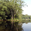 The Potomac Pathway by Schiffer Publishing, Ltd. captures a tall tree by a calm river in the Potomac Valley, its reflection shining in the water, surrounded by leafy trees under a clear sky in the National Historical Park.