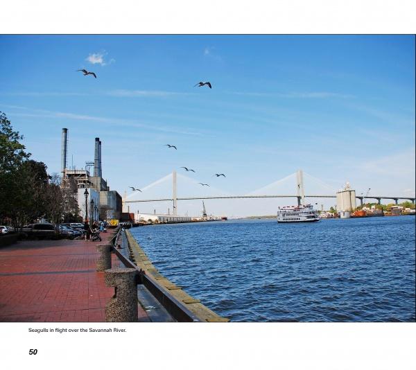 Experience the charm of Savannah, Georgia with "Savannah Perspectives" by Schiffer Publishing, Ltd.—featuring river views with seagulls, a bridge, a boat, red brick walkways, and historic sites along industrial buildings and trees.
