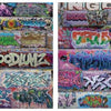 Baltimore Graffiti by Schiffer Publishing, Ltd. presents a striking photo documentary of vibrant tags, stylized lettering, and murals on brick walls—capturing Baltimore's street art spirit in dynamic two-column layouts.