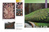A magazine spread for Schiffer Publishing, Ltd.'s Japanese Contemporary Quilts and Quilters shows modern Japanese quilts—a floral quilt, circular patterns, and a bird—under the headline Learning to Quilt in Japan: Two Schools of Thought.