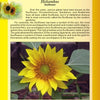 A page from "Savannah's Garden Plants" by Schiffer Publishing, Ltd. shows a bright yellow sunflower with green leaves, plus text on Helianthus history and symbolism, against a yellow-green background with pink lotus illustrations.