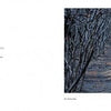 A narrow dirt path winds through leafless, twisted trees beneath a cloudy sky, capturing the haunting beauty of the Pinelands. On the left, a quote from Albert Brum appears on a white background. Published by Schiffer Publishing, Ltd.
