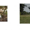 A collage of a goat inspired by the style in "Senior Dogs Across America" by Schiffer Publishing, Ltd., blending the artistic flair found in senior dog photography.