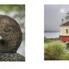 Close-up of a cormorant with orange throat and blue eye beside a coastal lighthouse—an ideal image from "Oregon Coast" by Schiffer Publishing, Ltd. for coffee table book enthusiasts and Oregon coastline photography fans.