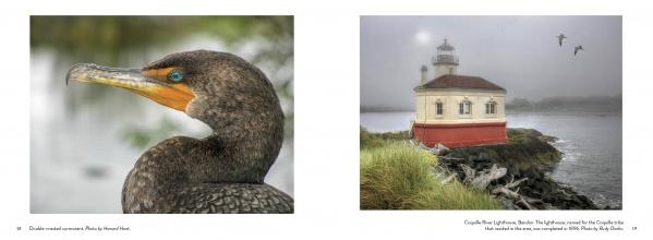 Close-up of a cormorant with orange throat and blue eye beside a coastal lighthouse—an ideal image from "Oregon Coast" by Schiffer Publishing, Ltd. for coffee table book enthusiasts and Oregon coastline photography fans.