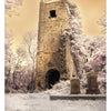 A tall stone tower rises among bare trees and old gravestones under a yellow sky, evoking the eerie, ghostly atmosphere found in Ireland’s Ghosts, Legends, and Lore from Schiffer Publishing, Ltd.