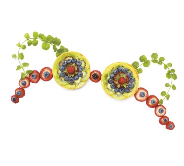 The image for Schiffer Publishing, Ltd.’s "No Lumps, Thank You." shows a playful bra made of sliced fruit—lemons, strawberries, kiwis, and blueberries—on white, using art to raise breast cancer awareness.