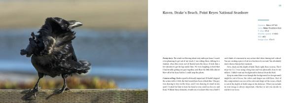 A raven stands on a wooden rail with ruffled feathers as sand and water blur behind; the right page of Schiffer Publishing, Ltd.'s "How Did You Get That Shot?" explores camera skills and Point Reyes National Seashore.