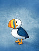 A cartoon bird from "The Angry Little Puffin" by Schiffer Publishing, Ltd.—ideal for children's books or fans of classic puffin picture books.