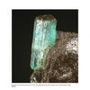 Displayed against a dark background, this 2.5 cm transparent green emerald crystal in glimmerite from Russia’s Sverdlov mine exemplifies the beryl group, as featured in "Collector's Guide to the Beryl Group" by Schiffer Publishing, Ltd.