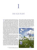A page from The Big Book of Flax by Schiffer Publishing, Ltd. shows a large number 1, text about flax history, and a photo of blooming, pale blue flax flowers in a field at the bottom right.