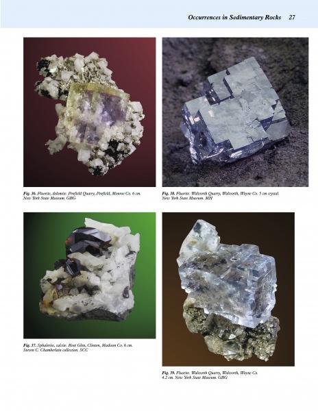 A page from The Collector's Guide to the Minerals of New York State by Schiffer Publishing, Ltd. shows four mineral specimens: purple/yellow fluorite on matrix, clear fluorite, dark blue cubic fluorite on white matrix, and clear fluorite with a brown base.