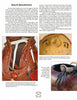 A magazine page features Schiffer Publishing, Ltd.'s "Antler Art for Baskets and Gourds," showcasing decorated rattles and close-ups of gourd attachments with leather, beads, and antler spikes plus step-by-step project instructions.