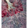 A close-up of a placenta with branching vessels in vivid hues and an umbilical cord illustrates human anatomy in "Hidden Beauty: Exploring the Aesthetics of Medical Science" by Schiffer Publishing, Ltd.
