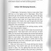 A page from "Pittsburgh Ghosts" by Schiffer Publishing, Ltd. shares "Indians Old Stomping Grounds," a chilling story of eerie experiences and strange noises in a haunted house in Washington, PA—with a decorative chapter header.