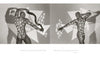 Peak of Perfection" by Schiffer Publishing, Ltd. features mirrored black-and-white nude prints with geometric shadows and poetic text—an artistic, sensual addition to any fine art nude photography collection.