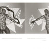 Peak of Perfection" by Schiffer Publishing, Ltd. features mirrored black-and-white nude prints with geometric shadows and poetic text—an artistic, sensual addition to any fine art nude photography collection.