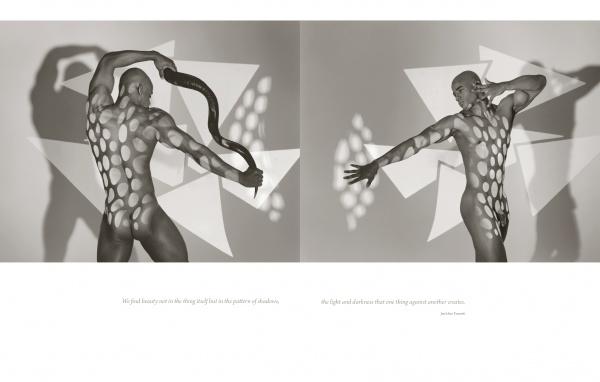 Peak of Perfection" by Schiffer Publishing, Ltd. features mirrored black-and-white nude prints with geometric shadows and poetic text—an artistic, sensual addition to any fine art nude photography collection.