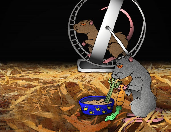 In "The Rat Tank" by Schiffer Publishing, Ltd., a cartoon rat munches veggies from a blue bowl while another runs on a wheel amid wood shavings—a dimly lit, adorable friendship tale for early readers ages 5-8.